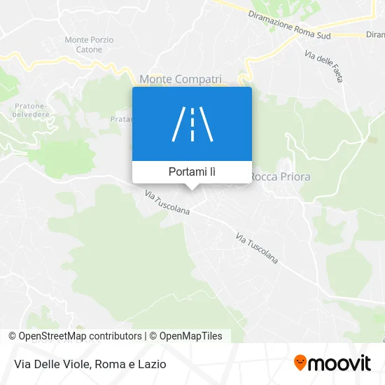 Mappa Via Delle Viole