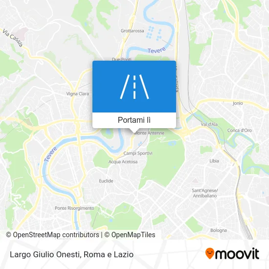 Mappa Largo Giulio Onesti