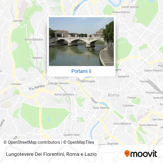 Mappa Lungotevere Dei Fiorentini