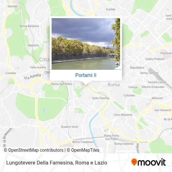 Mappa Lungotevere Della Farnesina