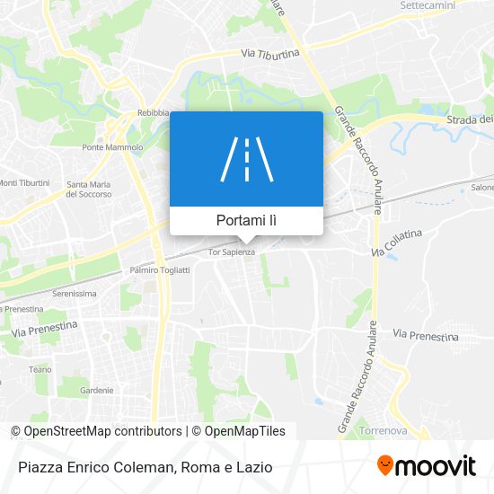 Mappa Piazza Enrico Coleman