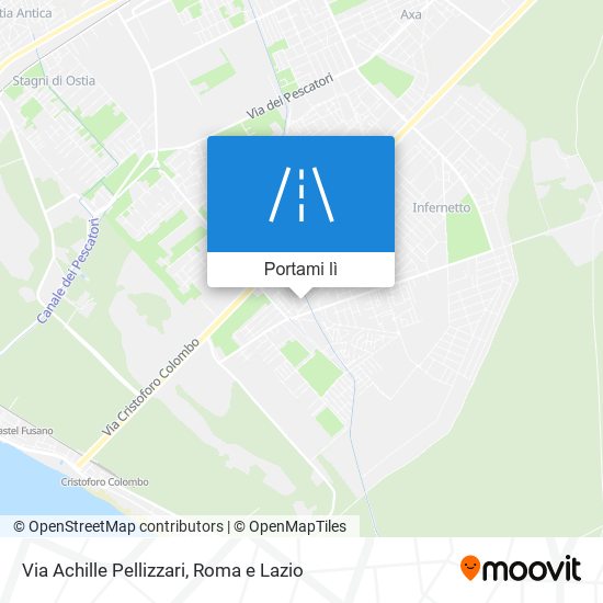 Mappa Via Achille Pellizzari