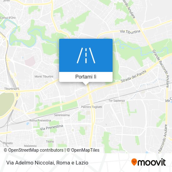 Mappa Via Adelmo Niccolai