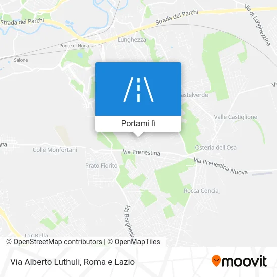 Mappa Via Alberto Luthuli