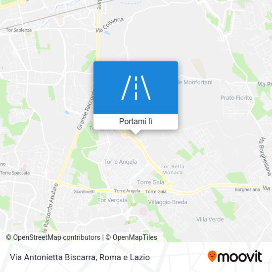 Mappa Via Antonietta Biscarra