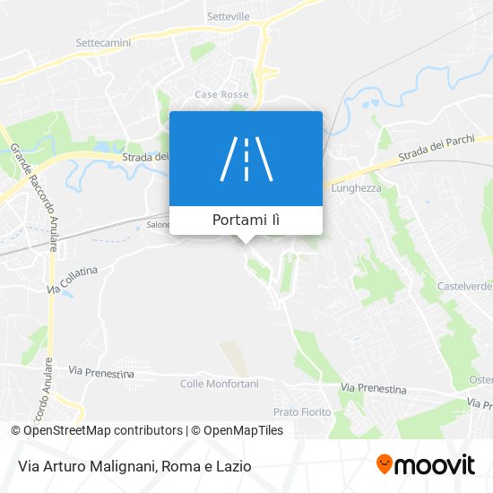 Mappa Via Arturo Malignani