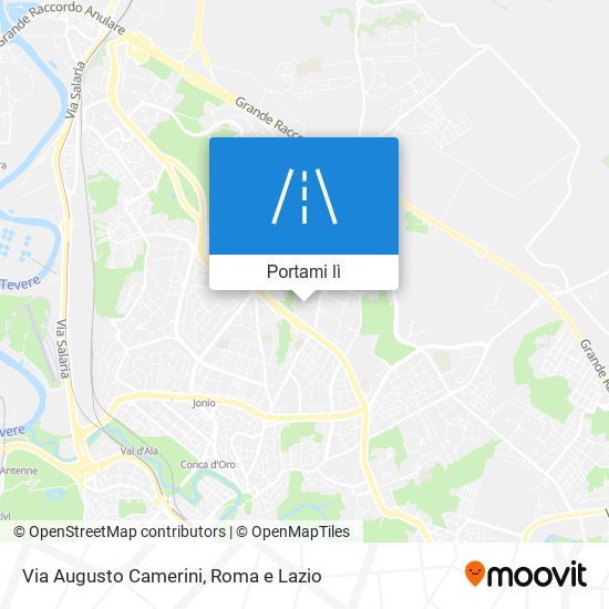 Mappa Via Augusto Camerini