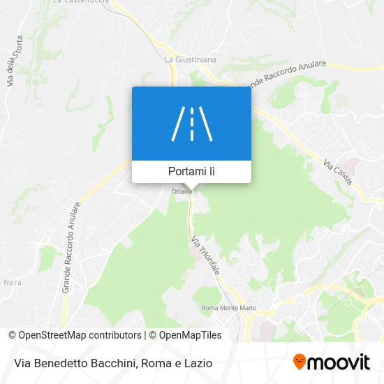 Mappa Via Benedetto Bacchini