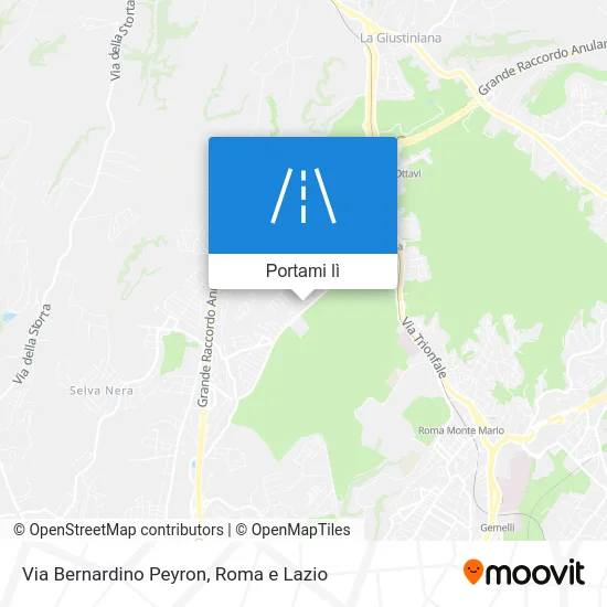 Mappa Via Bernardino Peyron