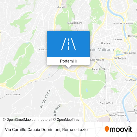 Mappa Via Camillo Caccia Dominioni