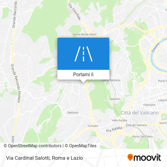 Mappa Via Cardinal Salotti