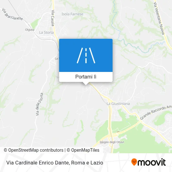 Mappa Via Cardinale Enrico Dante