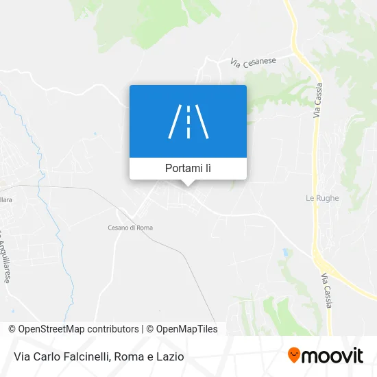 Mappa Via Carlo Falcinelli