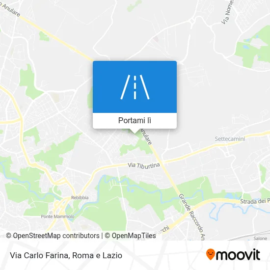 Mappa Via Carlo Farina