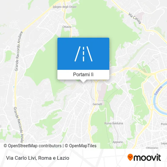 Mappa Via Carlo Livi