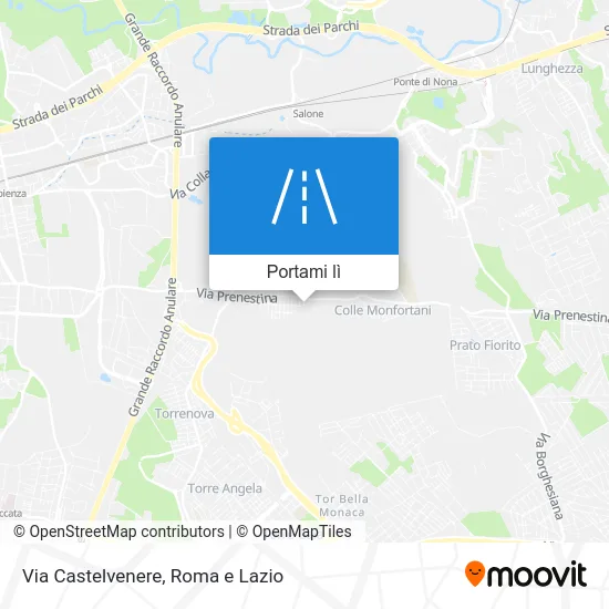 Mappa Via Castelvenere