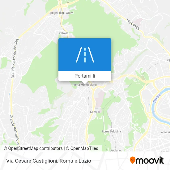 Mappa Via Cesare Castiglioni