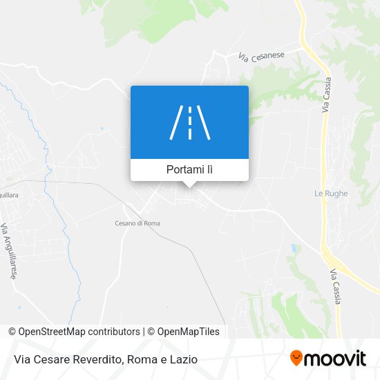 Mappa Via Cesare Reverdito