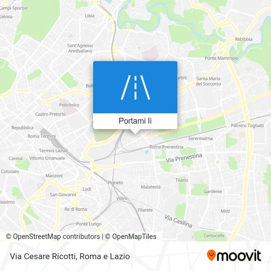 Mappa Via Cesare Ricotti