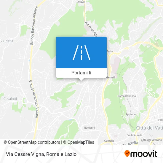 Mappa Via Cesare Vigna