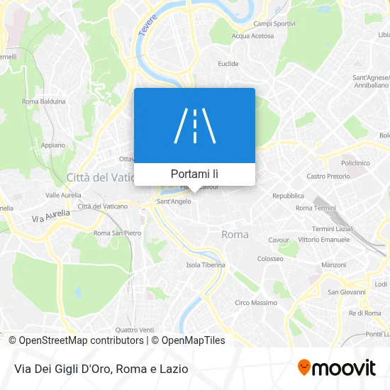 Mappa Via Dei Gigli D'Oro