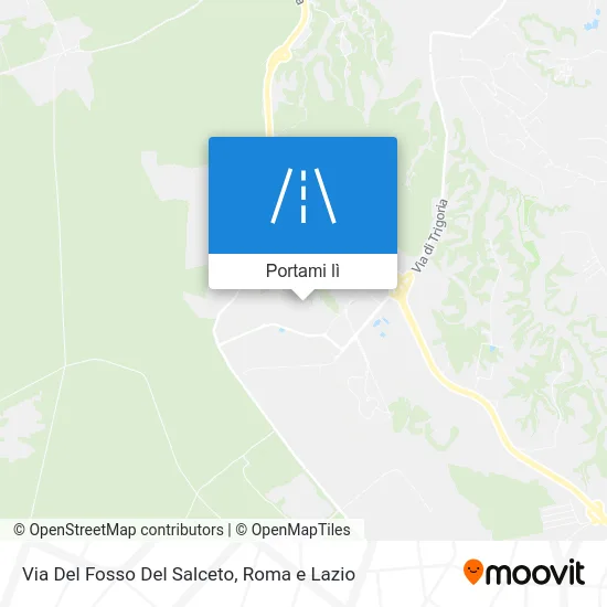 Mappa Via Del Fosso Del Salceto