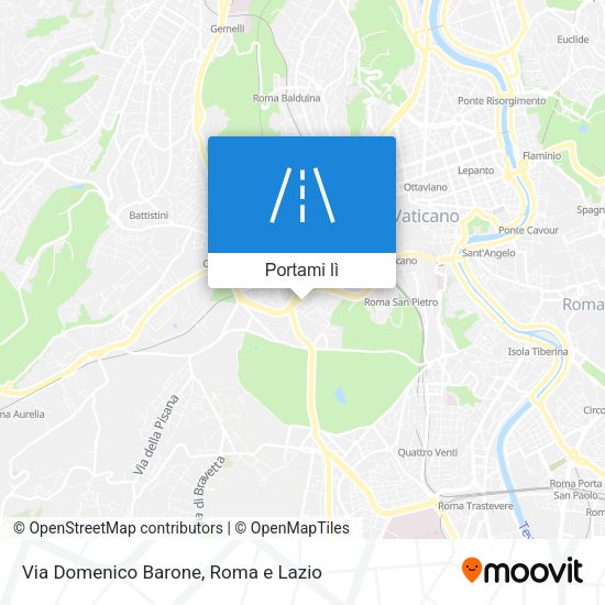 Mappa Via Domenico Barone