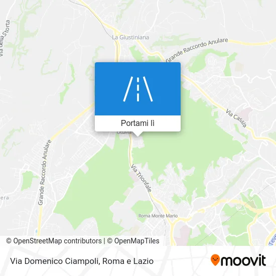 Mappa Via Domenico Ciampoli