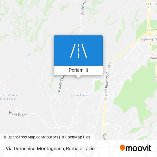 Mappa Via Domenico Montagnana