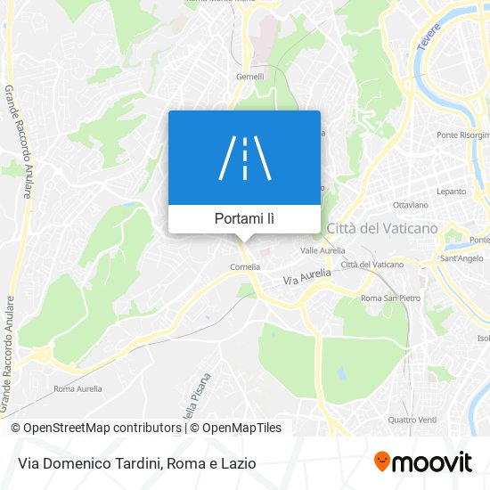 Mappa Via Domenico Tardini