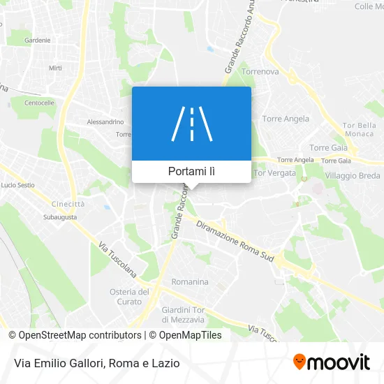Mappa Via Emilio Gallori
