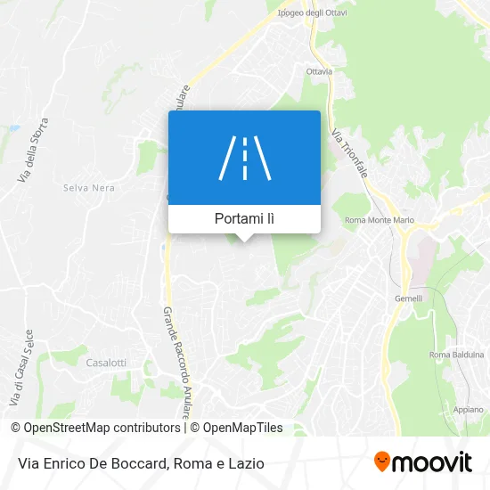 Mappa Via Enrico De Boccard