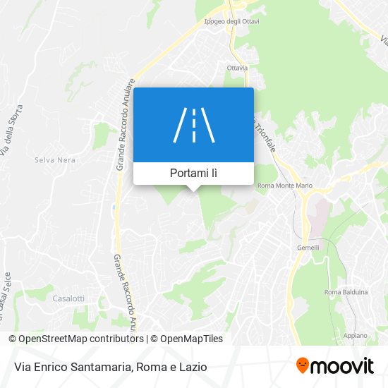Mappa Via Enrico Santamaria
