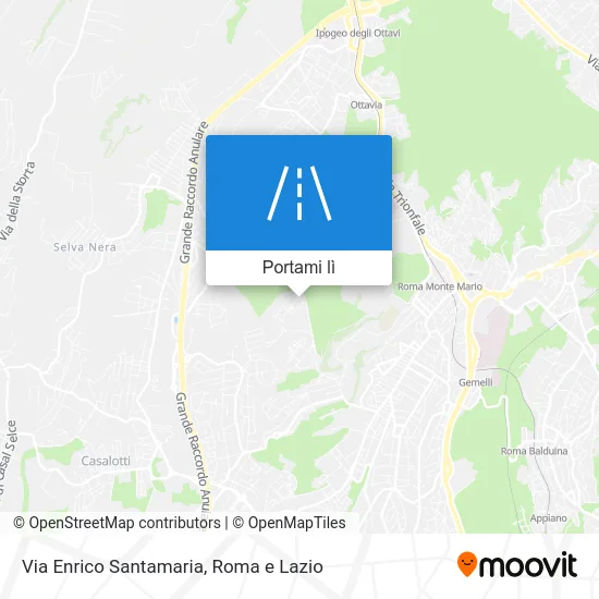 Mappa Via Enrico Santamaria