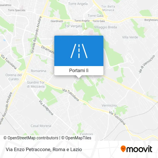 Mappa Via Enzo Petraccone