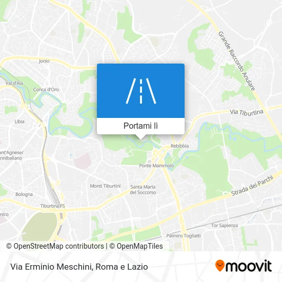 Mappa Via Erminio Meschini