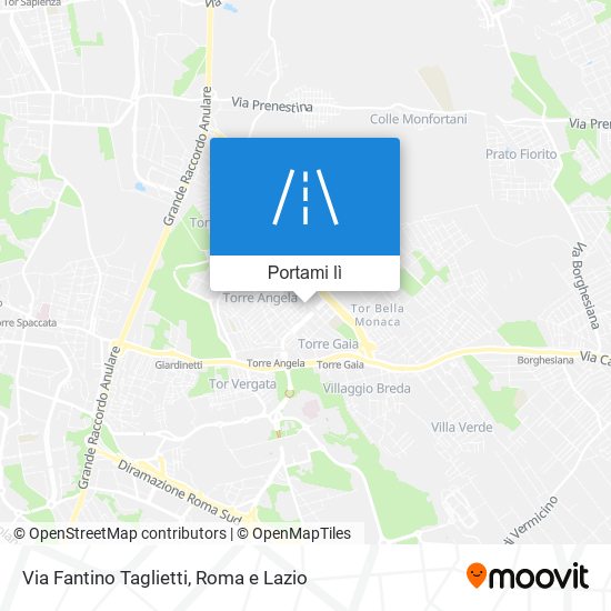 Mappa Via Fantino Taglietti