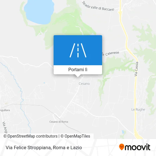 Mappa Via Felice Stroppiana