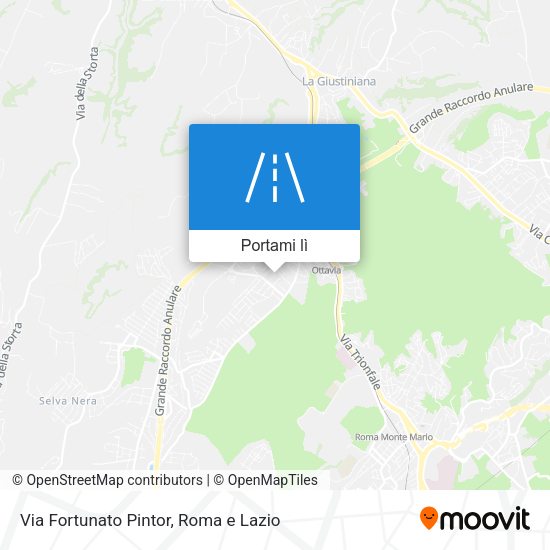 Mappa Via Fortunato Pintor
