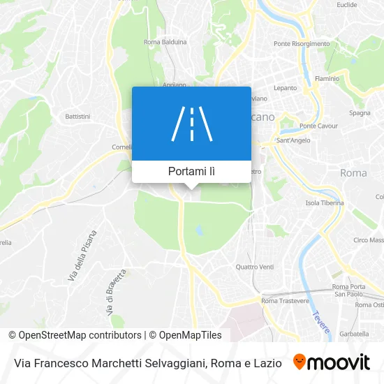 Mappa Via Francesco Marchetti Selvaggiani