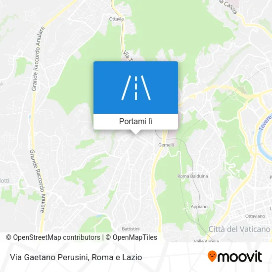 Mappa Via Gaetano Perusini