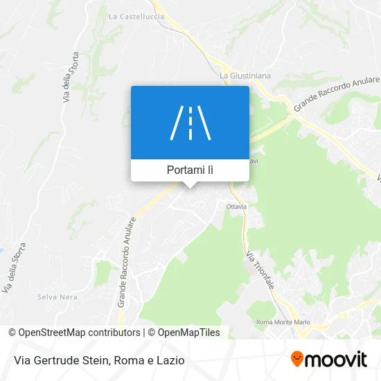 Mappa Via Gertrude Stein