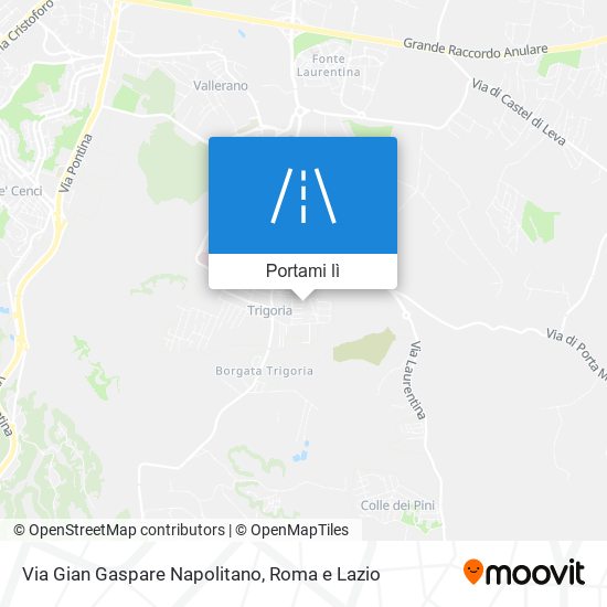 Mappa Via Gian Gaspare Napolitano