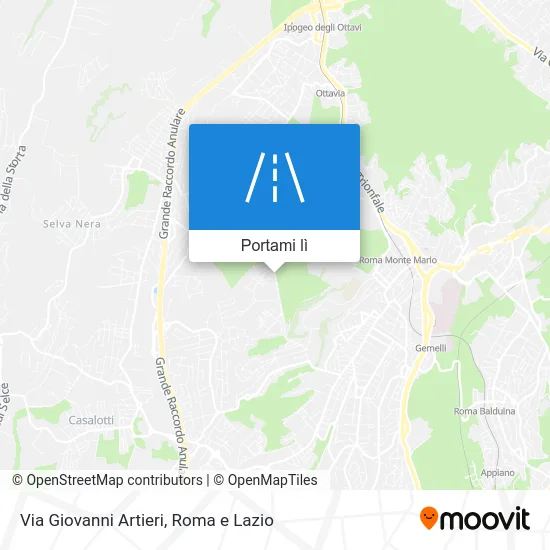 Mappa Via Giovanni Artieri