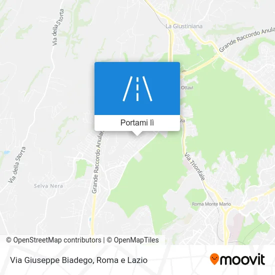 Mappa Via Giuseppe Biadego