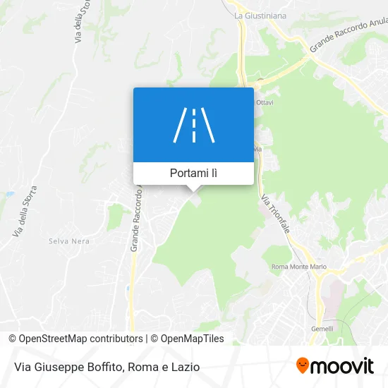 Mappa Via Giuseppe Boffito