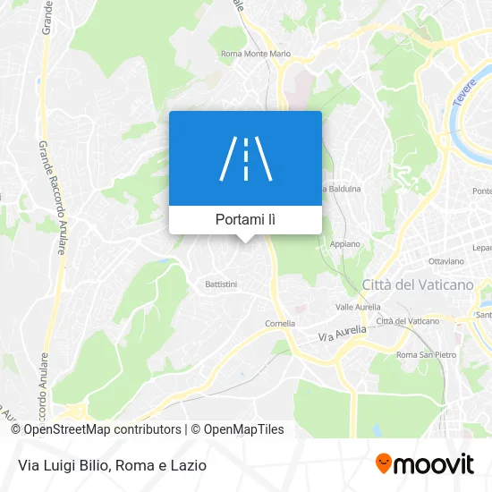 Mappa Via Luigi Bilio