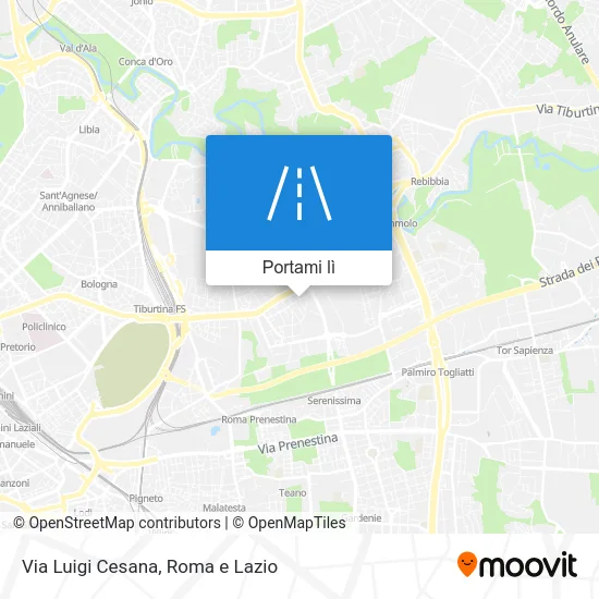 Mappa Via Luigi Cesana