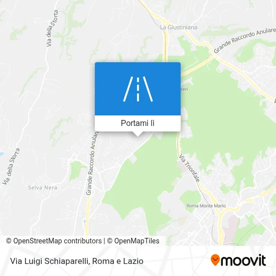 Mappa Via Luigi Schiaparelli