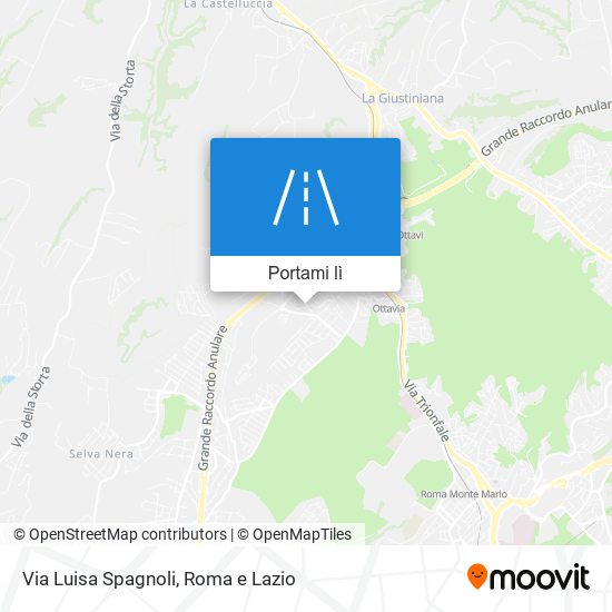 Mappa Via Luisa Spagnoli